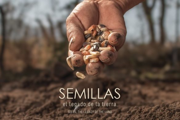 Poster_-Semillas_-el-legado-de-la-Tierra